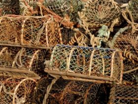 Canadian Lobsters to Receive National Brand Identity